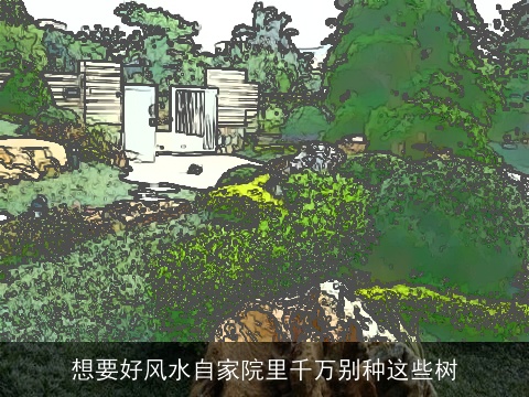 想要好风水自家院里千万别种这些树