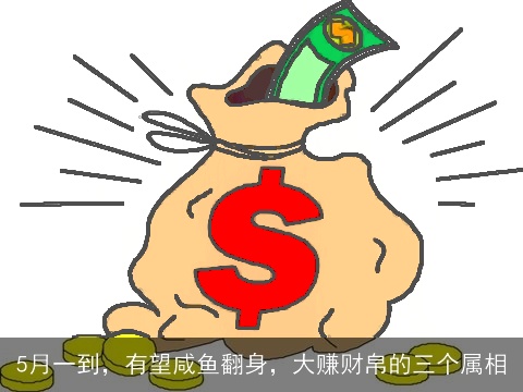 5月一到，有望咸鱼翻身，大赚财帛的三个属相