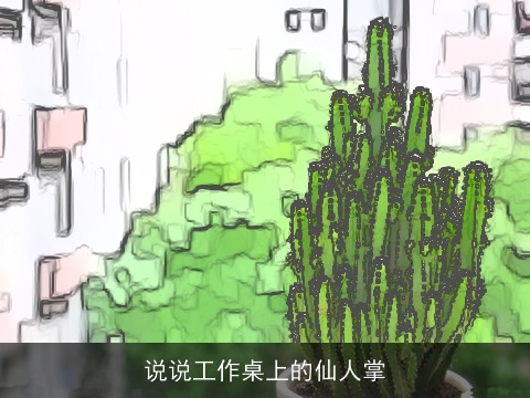 说说工作桌上的仙人掌
