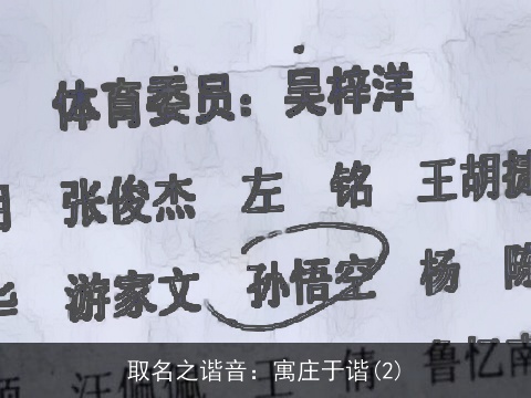 取名之谐音：寓庄于谐(2)