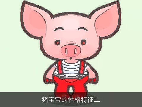 猪宝宝的性格特征二
