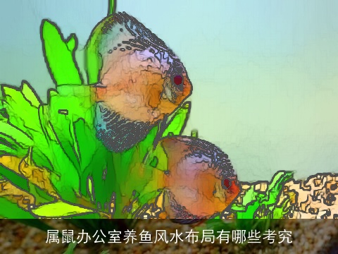 属鼠办公室养鱼风水布局有哪些考究
