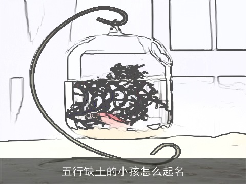 五行缺土的小孩怎么起名