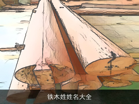 铁木姓姓名大全