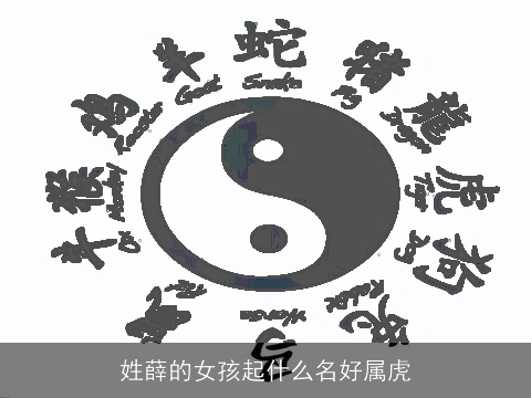 姓薛的女孩起什么名好属虎