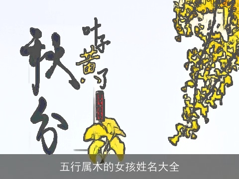 五行属木的女孩姓名大全