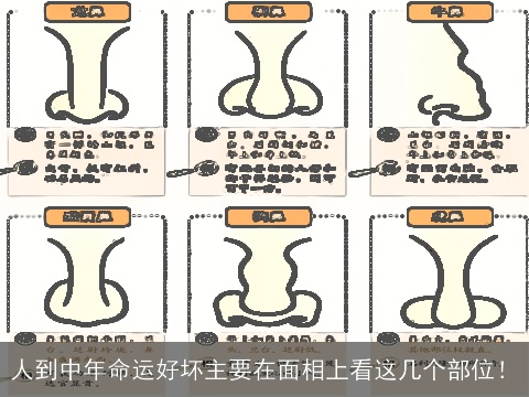 人到中年命运好坏主要在面相上看这几个部位！