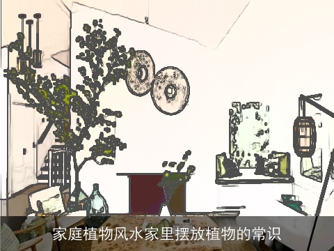 家庭植物风水家里摆放植物的常识