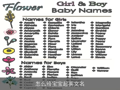 怎么给宝宝起英文名