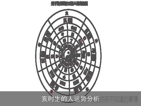 亥时生的人运势分析