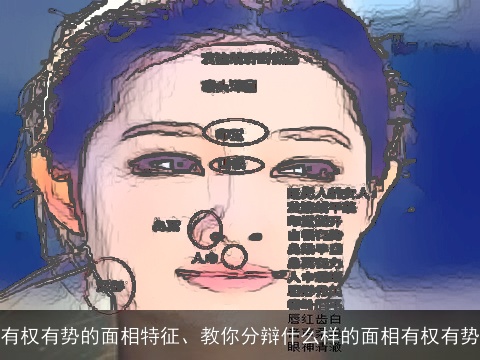 有权有势的面相特征、教你分辩什么样的面相有权有势
