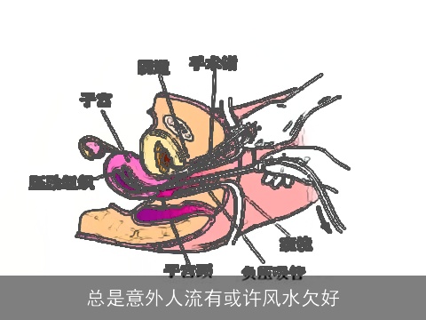 总是意外人流有或许风水欠好