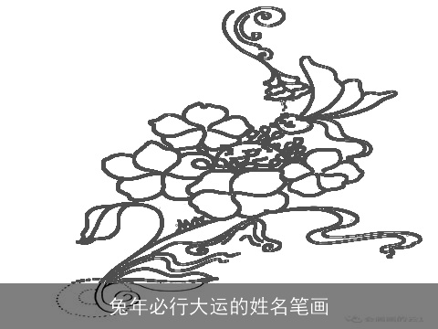 兔年必行大运的姓名笔画