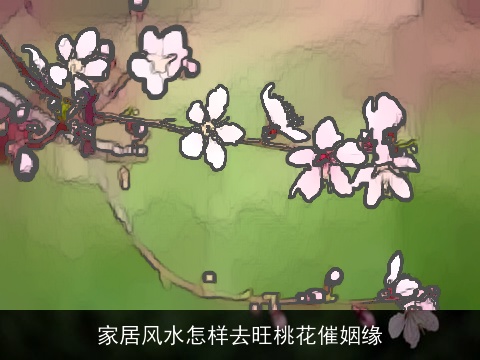 家居风水怎样去旺桃花催姻缘