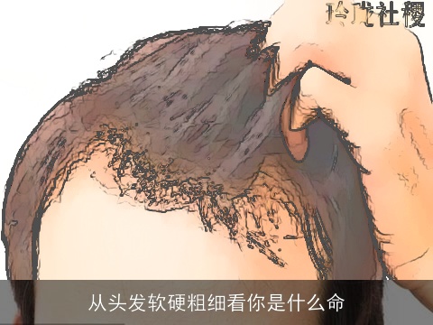 从头发软硬粗细看你是什么命