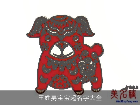 王姓男宝宝起名字大全