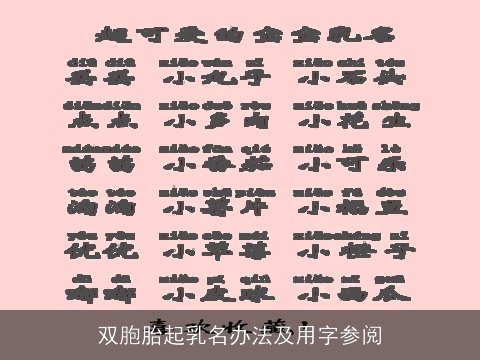 双胞胎起乳名办法及用字参阅
