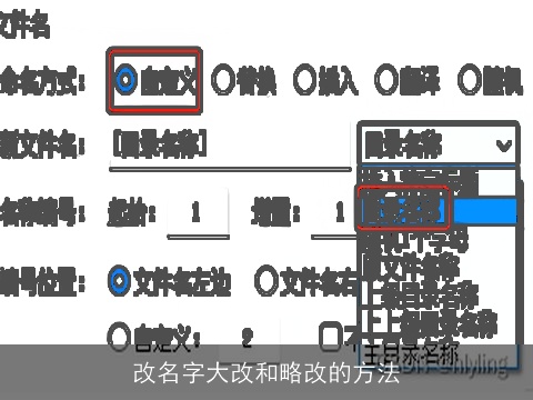 改名字大改和略改的方法