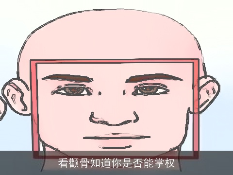 看颧骨知道你是否能掌权