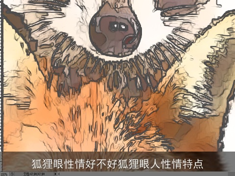 狐狸眼性情好不好狐狸眼人性情特点