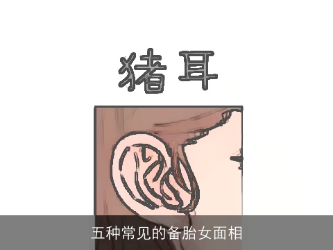 五种常见的备胎女面相