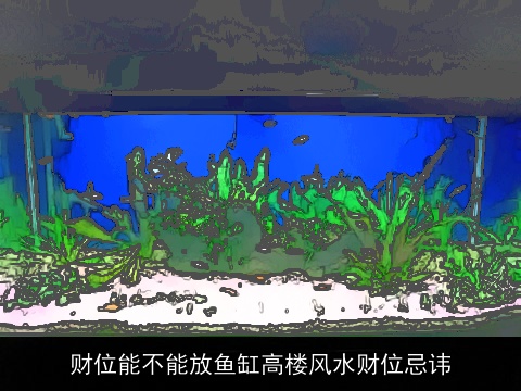 财位能不能放鱼缸高楼风水财位忌讳