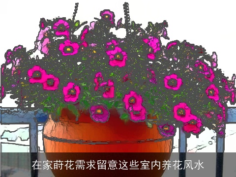 在家莳花需求留意这些室内养花风水