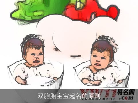 双胞胎宝宝起名的原则