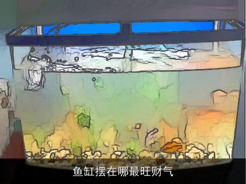 鱼缸摆在哪最旺财气