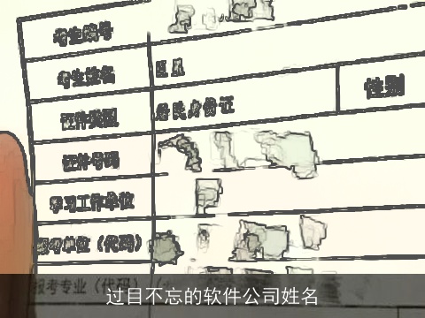 过目不忘的软件公司姓名