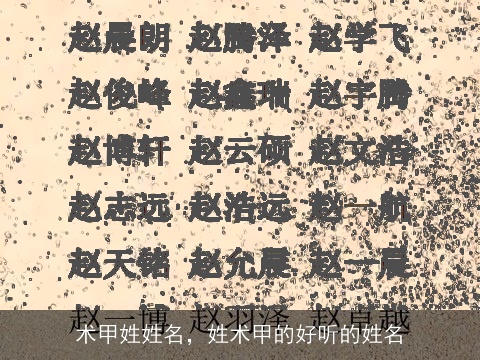 术甲姓姓名，姓术甲的好听的姓名