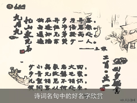 诗词名句中的好名字欣赏