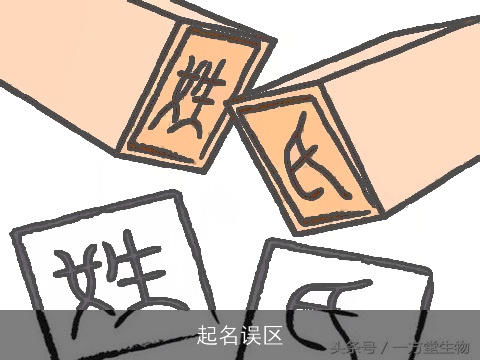 起名误区