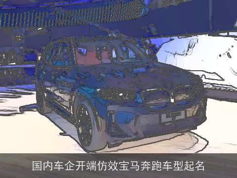 国内车企开端仿效宝马奔跑车型起名
