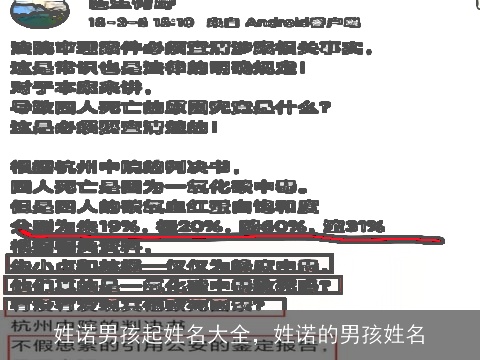 姓诺男孩起姓名大全，姓诺的男孩姓名