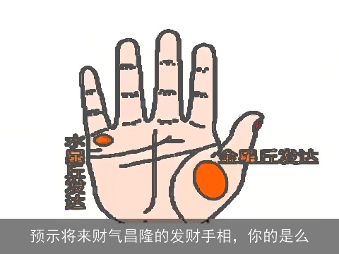 预示将来财气昌隆的发财手相，你的是么