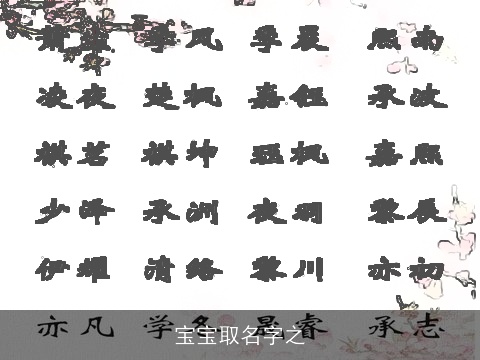 宝宝取名字之