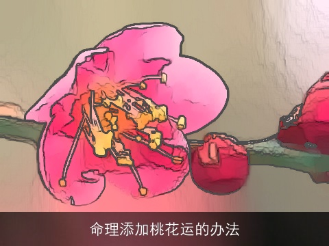 命理添加桃花运的办法