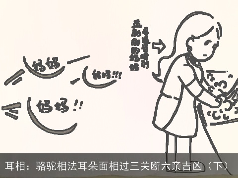 耳相：骆驼相法耳朵面相过三关断六亲吉凶（下）