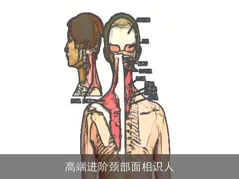 高端进阶颈部面相识人