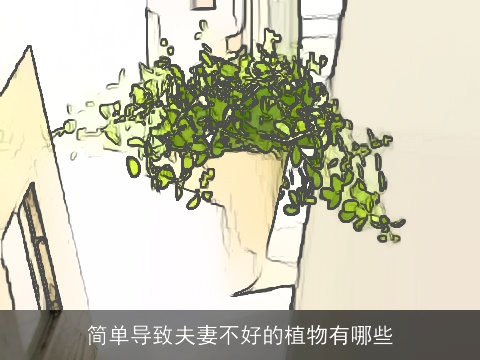 简单导致夫妻不好的植物有哪些