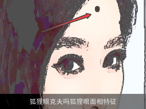 狐狸眼克夫吗狐狸眼面相特征