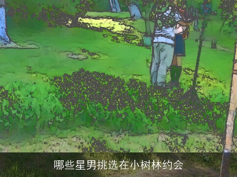 哪些星男挑选在小树林约会