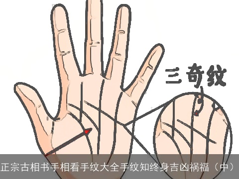 正宗古相书手相看手纹大全手纹知终身吉凶祸福（中）