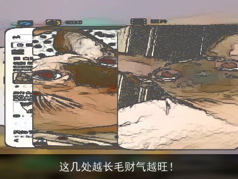 这几处越长毛财气越旺！