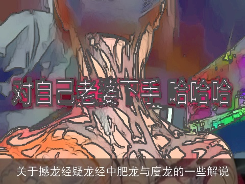 关于撼龙经疑龙经中肥龙与廋龙的一些解说
