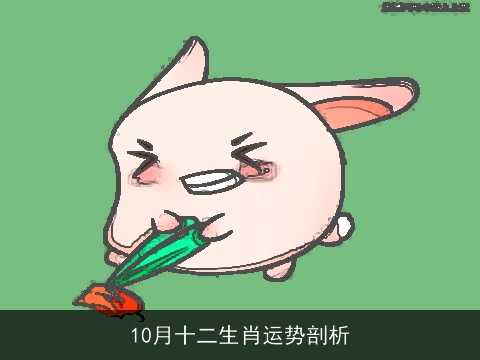 10月十二生肖运势剖析