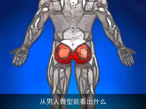 从男人臀型能看出什么