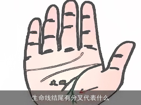 生命线结尾有分叉代表什么
