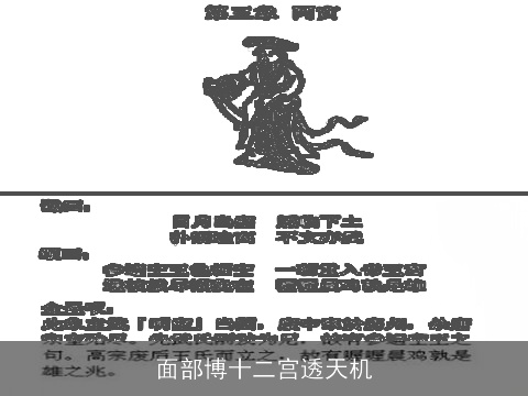 面部博十二宫透天机